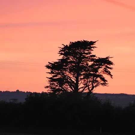 Bed & Breakfast Rosville House New Ross